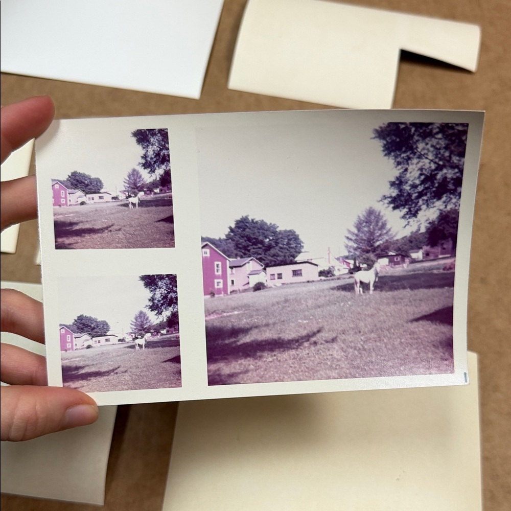 Vintage Photo Collection - Picture 10 of 11